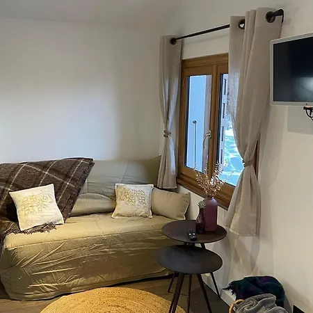 Apartment Cosy Au Chinaillon, Proche Des Pistes, Animaux Admis - Fr-1-467-145 Le Grand-Bornand